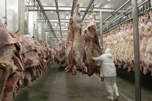 Vietnã Habilita Frigorífico da JBS em Naviraí para Exportação de Carne Bovina