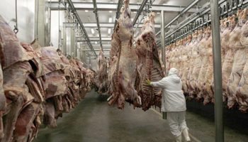Vietnã Habilita Frigorífico da JBS em Naviraí para Exportação de Carne Bovina