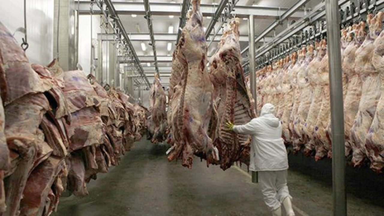 Vietnã Habilita Frigorífico da JBS em Naviraí para Exportação de Carne Bovina