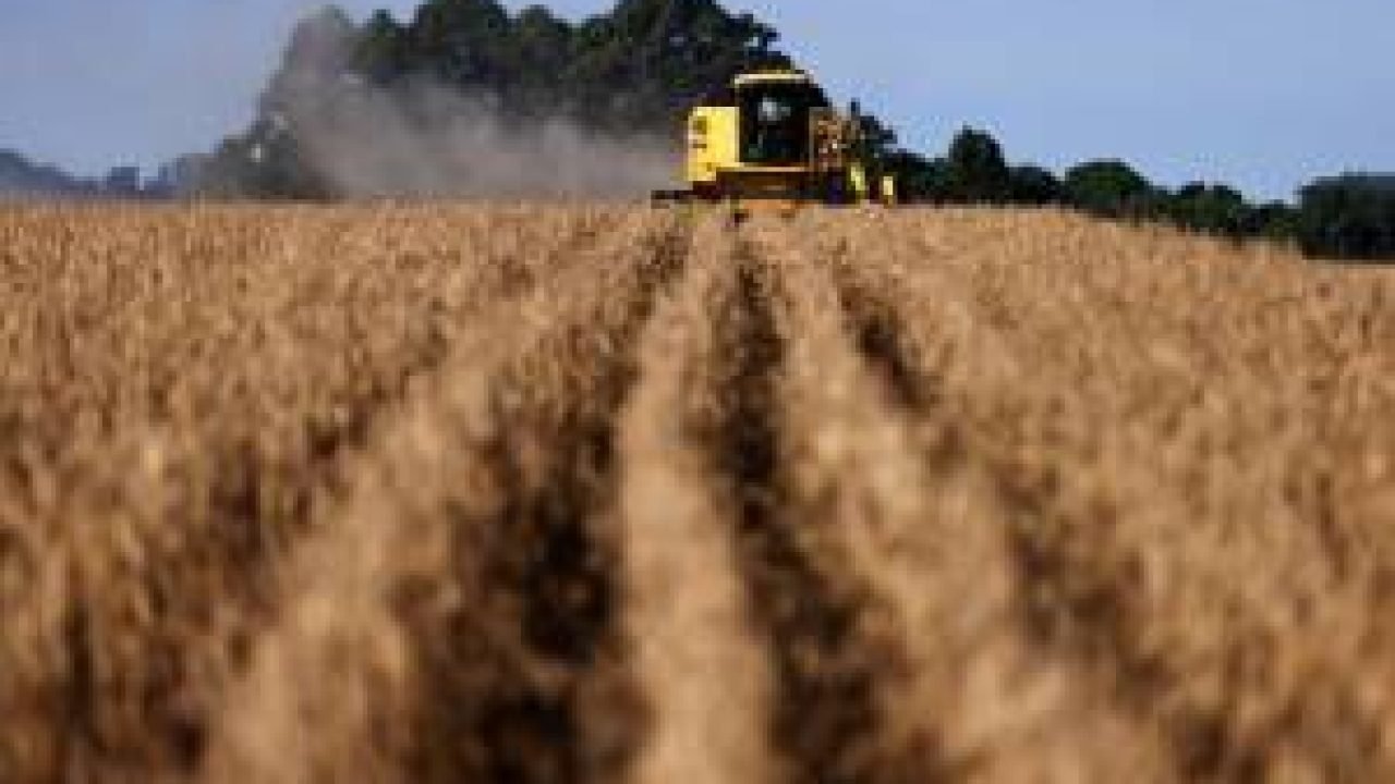 Pedidos de recuperação judicial no agro disparam 147%