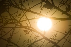 Previsao-aponta-para-calor-extremo-para-o-fim-de-semana.-Onda-de-calor-se-intensifica-e-Brasilia-deve-bater-recordes-de-temperatura-baixa-humidade-seca-Metropoles-15-scaled-1