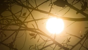 Previsao-aponta-para-calor-extremo-para-o-fim-de-semana.-Onda-de-calor-se-intensifica-e-Brasilia-deve-bater-recordes-de-temperatura-baixa-humidade-seca-Metropoles-15-scaled-1