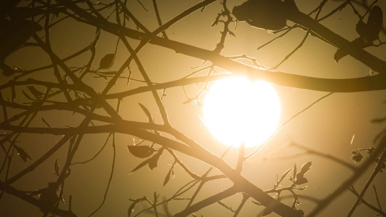 Previsao-aponta-para-calor-extremo-para-o-fim-de-semana.-Onda-de-calor-se-intensifica-e-Brasilia-deve-bater-recordes-de-temperatura-baixa-humidade-seca-Metropoles-15-scaled-1