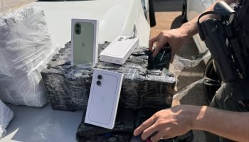 celulares-br