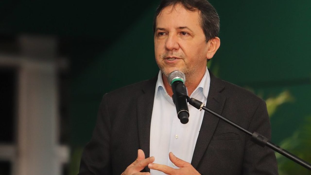 chico-brasileiro