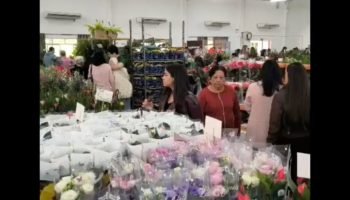 ecoflores-2026-a