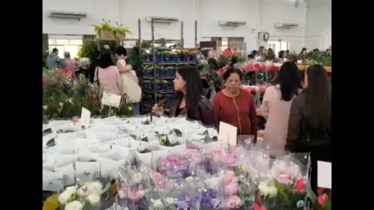 ecoflores-2026-a