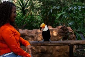 parque-das-aves-2
