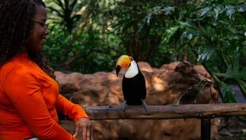 parque-das-aves-2