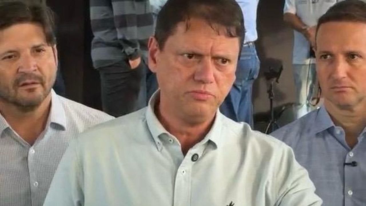 tarcisio-freitas-privatizacao